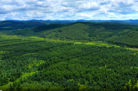 赤峰黄金Chifeng Gold