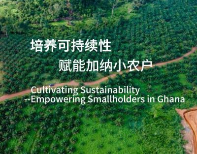 培养可持续性，赋能加纳小农户